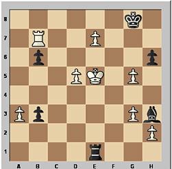 The Kasparov vs Karpov saga - Stabroek News