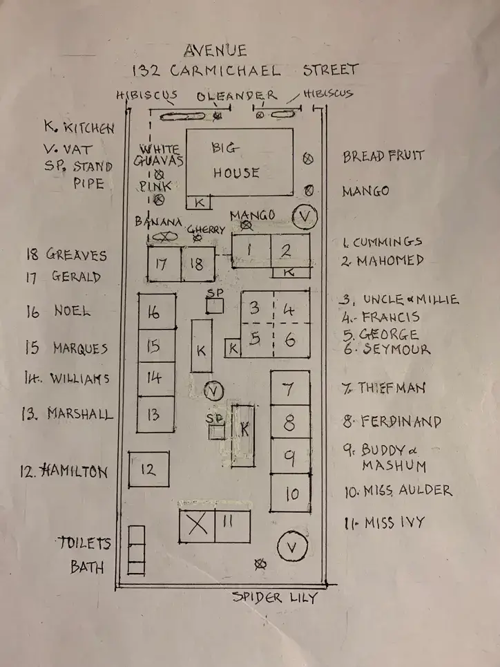 The layout of the tenement yard at 132 Carmichael Street